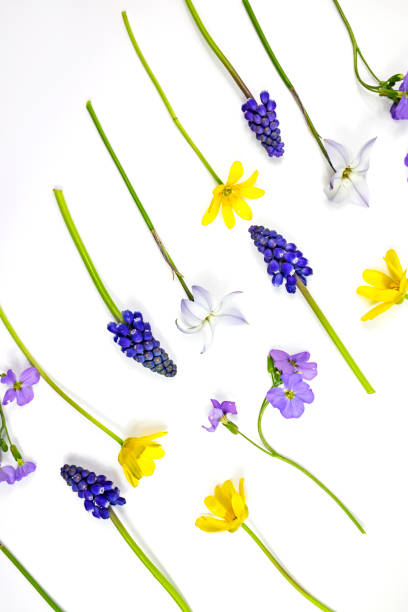 istock Floral background, great design for any purpose. Abstract floral spring or summer pattern. Vertical image. 1475641651