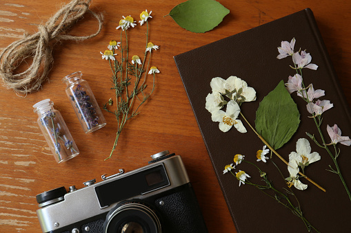 Flat lay composition with beautiful dried flowers, vintage camera and book on wooden table