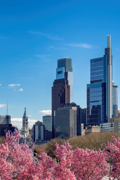 Philadelphia city skyline with spring flowers in spring sunny day, Philadelphia, Pennsylvania.