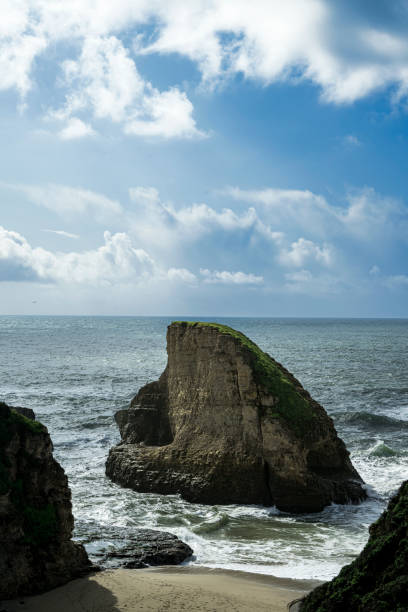 istock High Angle View of Shark Fin Cove 1475658070