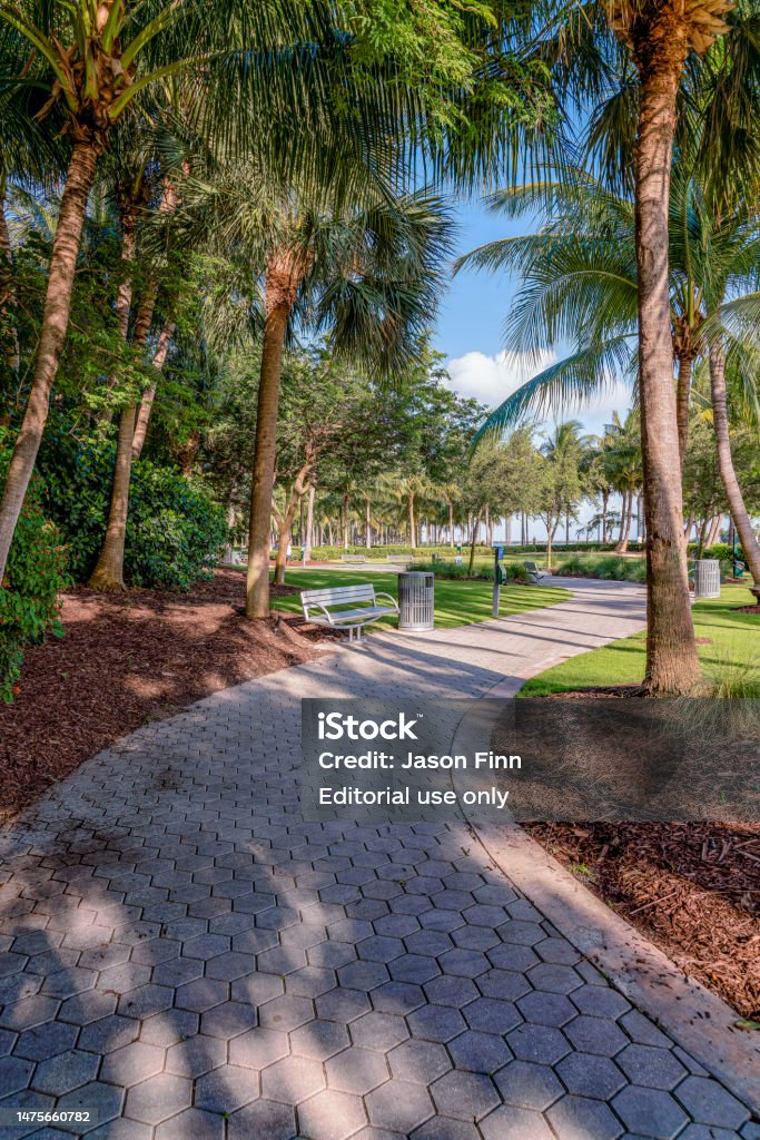 Pathway Hexagonal Vertical Shot Of A Pathway With Hexagonal Pavement Tiles Stock Photo ...