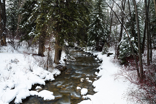 Fresh Snow Covered Creek Winter Wonderland Landscape - Flowing creek in pristine mountain wilderness after a fresh snow storm. Scenic nature scene.
