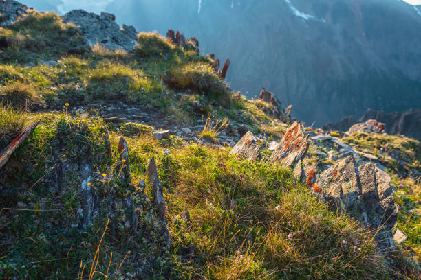 istock Colorful mountain scenery on abyss edge with sharp stones among green flora in sunlight. Sunny view from cliff at very high altitude. Scenic alpine landscape with beautiful sharp rocks in sunshine. 1475675761