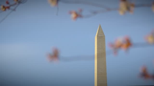 Washington Monument, in Spring