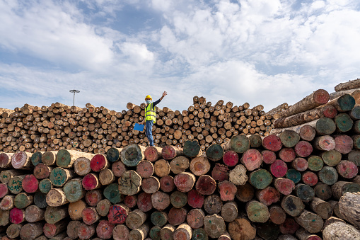 A male worker is standing and working in a lumber storage area