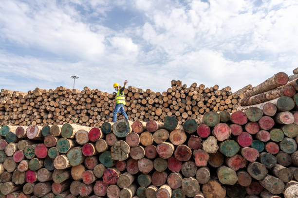 istock A male worker is standing and working in a lumber storage area 1475690219