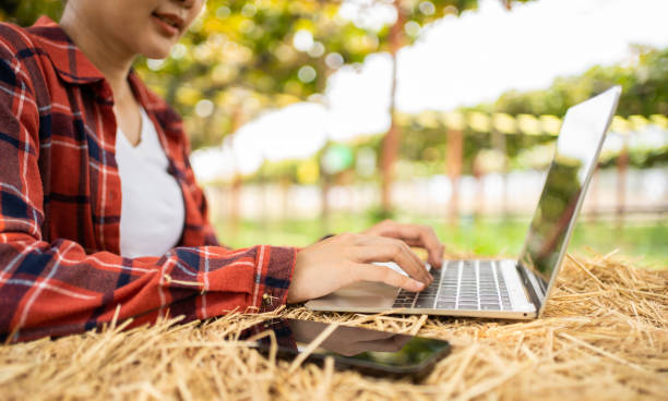 istock Agriculturist  farmer female using laptop in grape farm. 1475695035