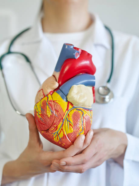 istock Doctor Holding a human heart 1475703975