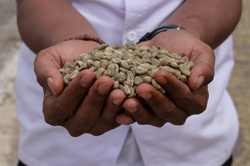 Panning drying arabica coffee seed and washing process