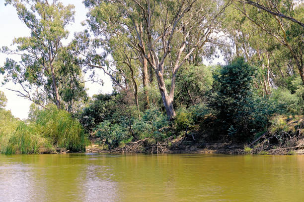 istock Cobram, Victoria, Australia 1475713866
