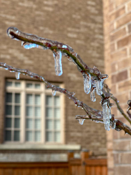 istock Freezing Rain Storm in Toronto, Ontario, Canada 1475714050