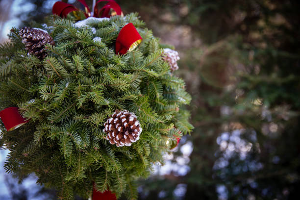 Holiday Kissing Ball