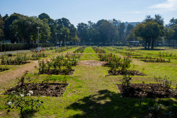istock Zakir Hussain Rose Garden Chandigarh 1475719707