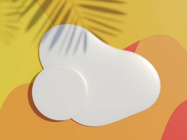 istock 3d render top view of white blank cylinder frame for mock up and display products with shadows of palm leaves with summer background. 1475721333