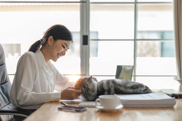 istock Young asian businesswoman working at home using laptop computer while caressing pet cat 1475728222
