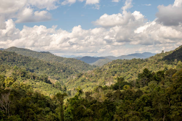 istock View of forest at the mountains and beautiful sky 1475731106