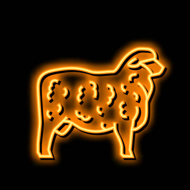 stockillustraties, clipart, cartoons en iconen met corriedale sheep neon glow icon illustration - texel