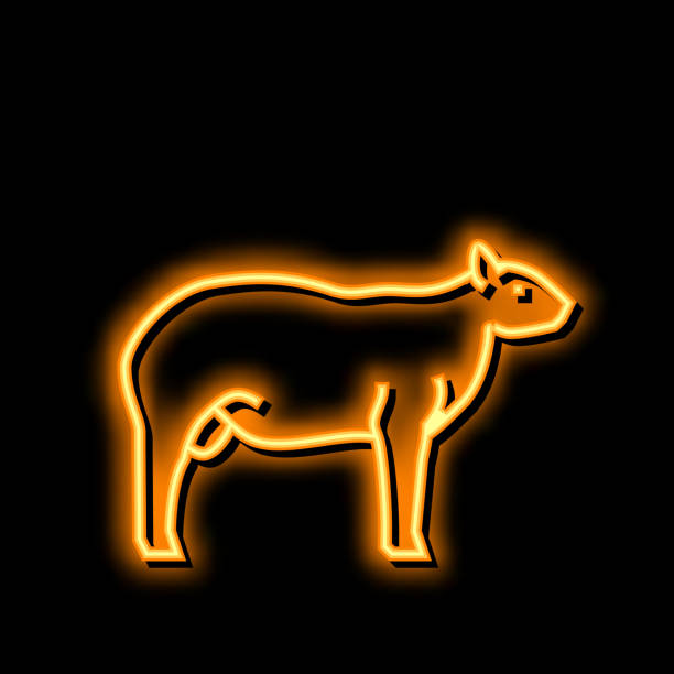 stockillustraties, clipart, cartoons en iconen met dorper sheep neon glow icon illustration - texel