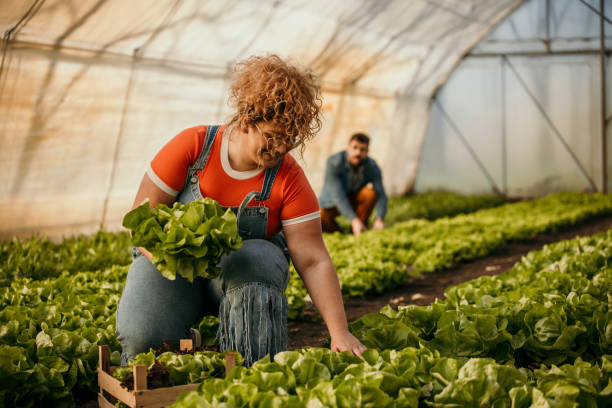 istock Working on our organic farm 1475741851