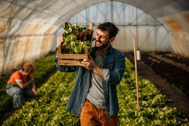 My farm, my business stock photo