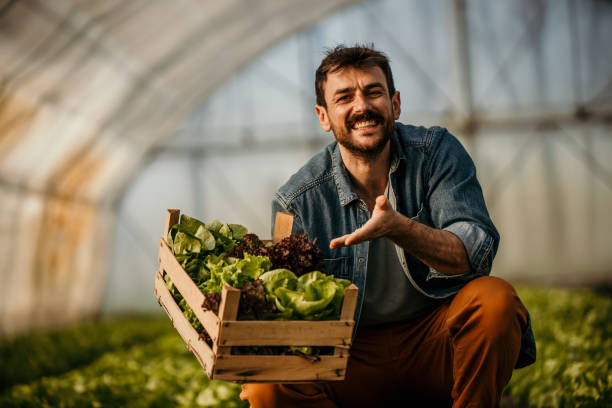 istock Our farm provides the best veggies 1475742407