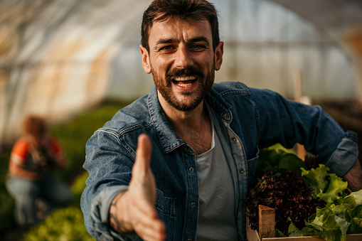 Portrait of a smiling male worker holding a crate full of fresh veggies and about to shake hands with a camera. Small business concept