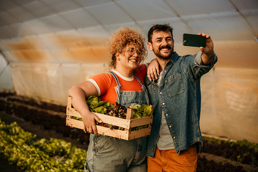 Caucasian friendly woman and man farmer smiling, taking a selfie, and holding organic fresh green vegetables produce wooden box together in greenhouse garden nursery farm, business farmer and healthy food concept.