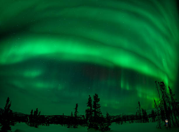 istock Northern Lights in Alaska 1475743987