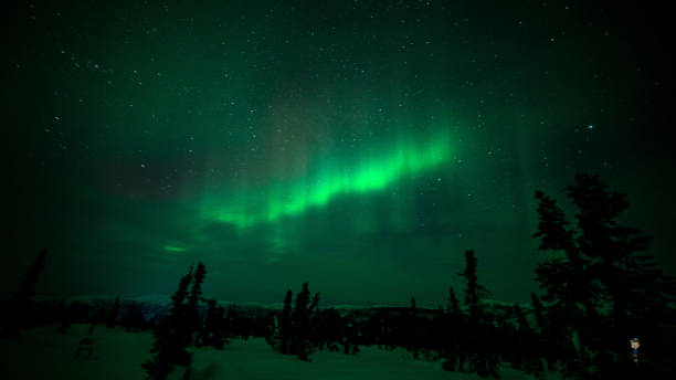 istock Northern Lights in Alaska 1475744004