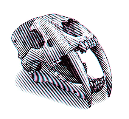 Saber Toothed Tiger skull and Glitch Technique