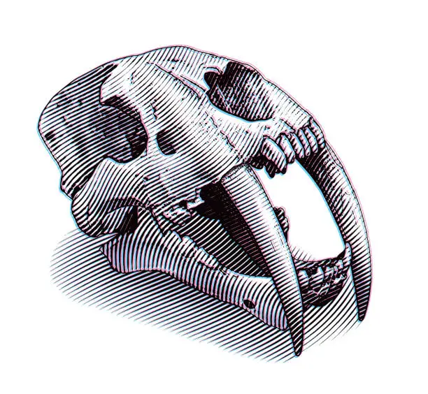 Vector illustration of Saber Toothed Tiger skull and Glitch Technique