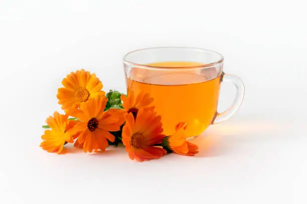 Photo of Calendula tea with fresh flowers on white background. Alternative medicine.