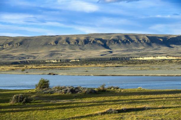 ande nella patagonia argentina - provincia di santa cruz argentina foto e immagini stock
