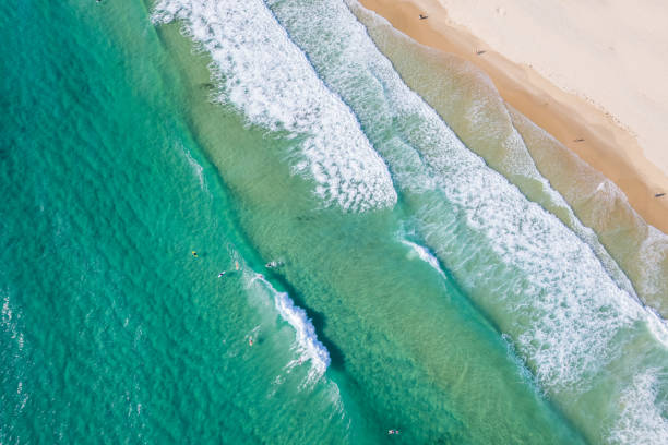 istock Paddlers in the surf 1475779939