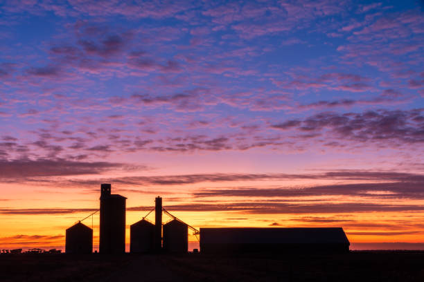 istock Dawn colours with the silo silhouettes 1475780093