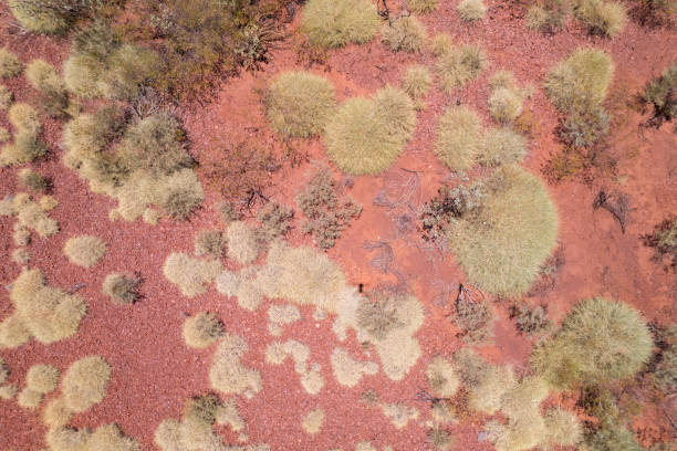 istock The red Australian dirt and speckles 1475780363