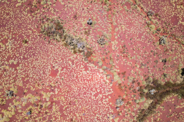 istock Just the red Australian dirt 1475780424
