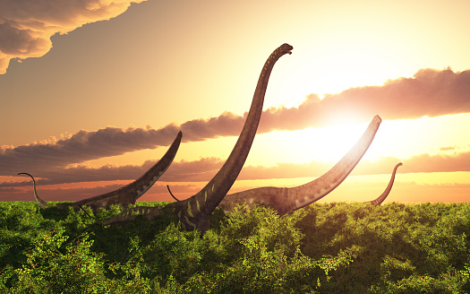 Computer generated 3D illustration with the dinosaur Mamenchisaurus in a landscape at sunset