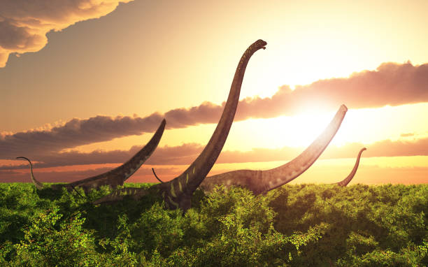 Cтоковое фото Динозавр-маменхизавр в пейзаже на закате