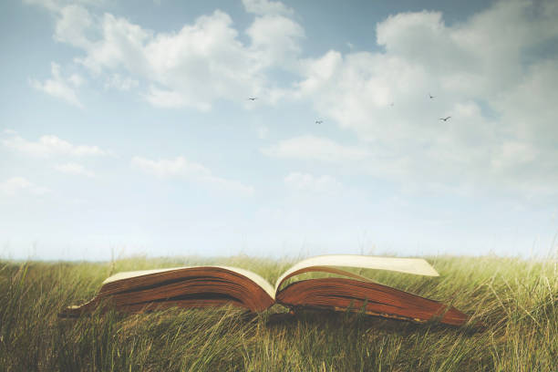 surreal open book ready to be read in a wild meadow