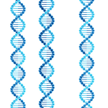 3D Render of right-handed DNA molecular structures against a white background