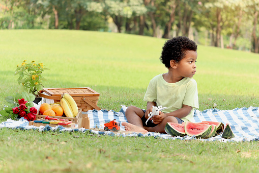 Cute African boy with black curly hair sitting on mat on green grass, having picnic at garden green park, kid spend time at outdoors on holiday weekend, child playing outside on summer sunny day.