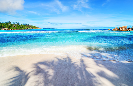 Paradise Beach with coconut palm trees and white coral sand