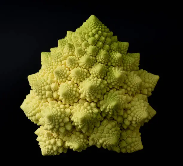 Romanesco, broccoli has large green flowers with an excellent taste and decorative appearance.