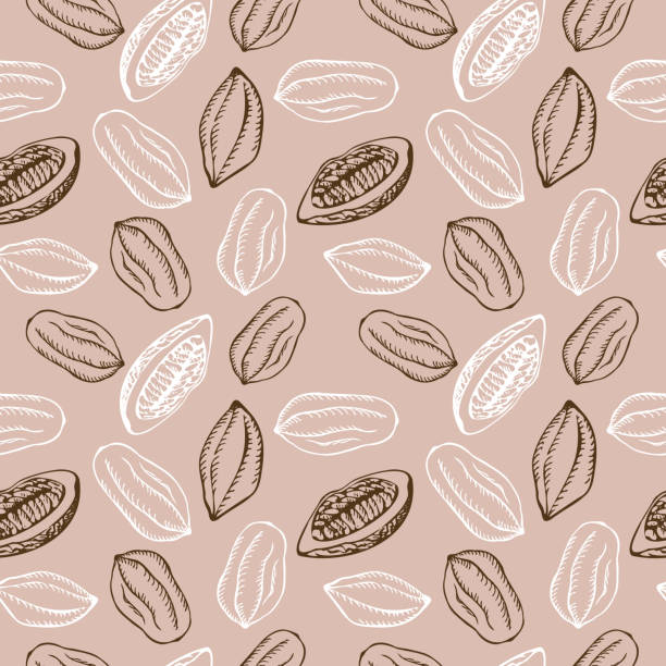 ilustraciones, imágenes clip art, dibujos animados e iconos de stock de patrón sin costuras con frutas de cacao y planta de cacao sobre un fondo beige. mucho cacao, fondo repetitivo, adorno. dibujado a mano. vector - trilla