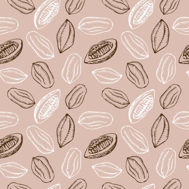 ilustrações de stock, clip art, desenhos animados e ícones de seamless pattern with cocoa fruits and cocoa plant on a beige background. a lot of cocoa, repeating background, ornament. hand-drawn. vector - cacau em pó
