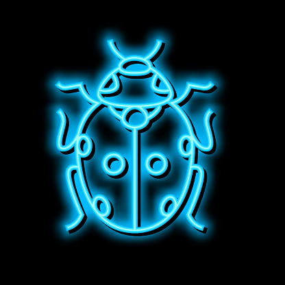 ladybug bug neon light sign vector. ladybug bug illustration