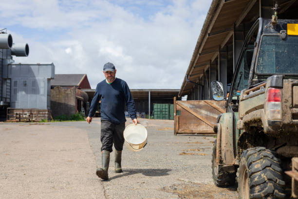 arbeiten in der sonne - car people men barn stock-fotos und bilder