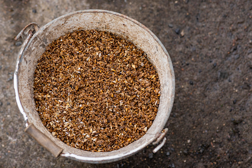 A bucket filled with a mix of grains and seeds on the ground at a farm in Embleton, North East England. It is ready to be fed to the pigs.
