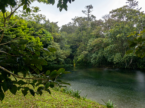 Rain on a lake in a Costa Rica Nature Reserve